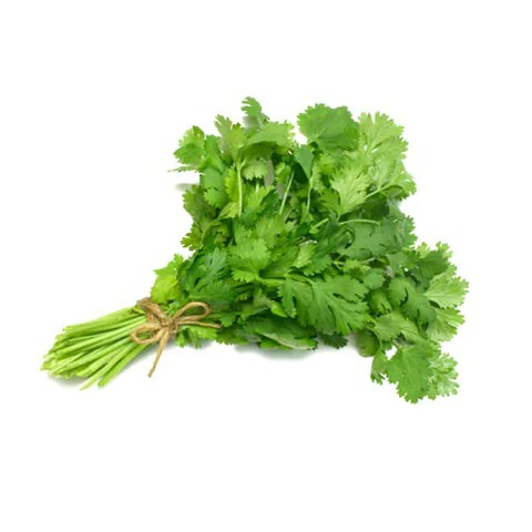 African Coriander